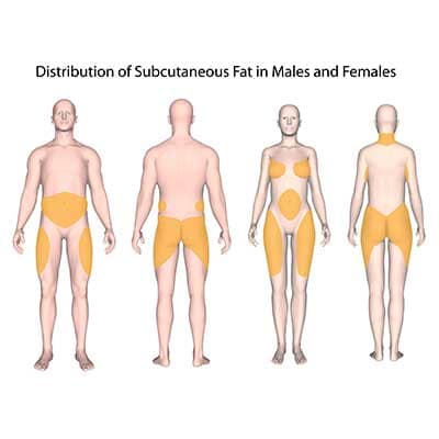 Toning Exercises for Women