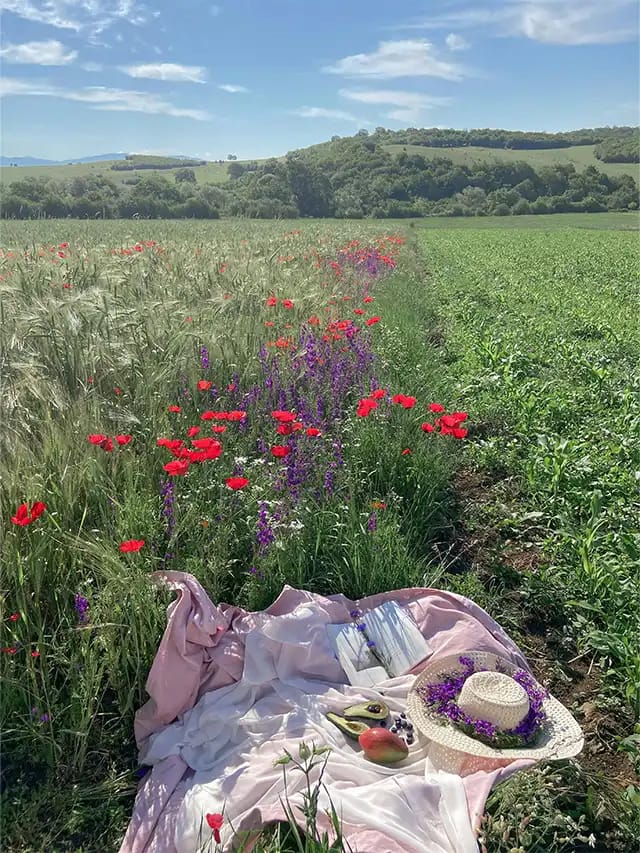Picnic Date Ideas