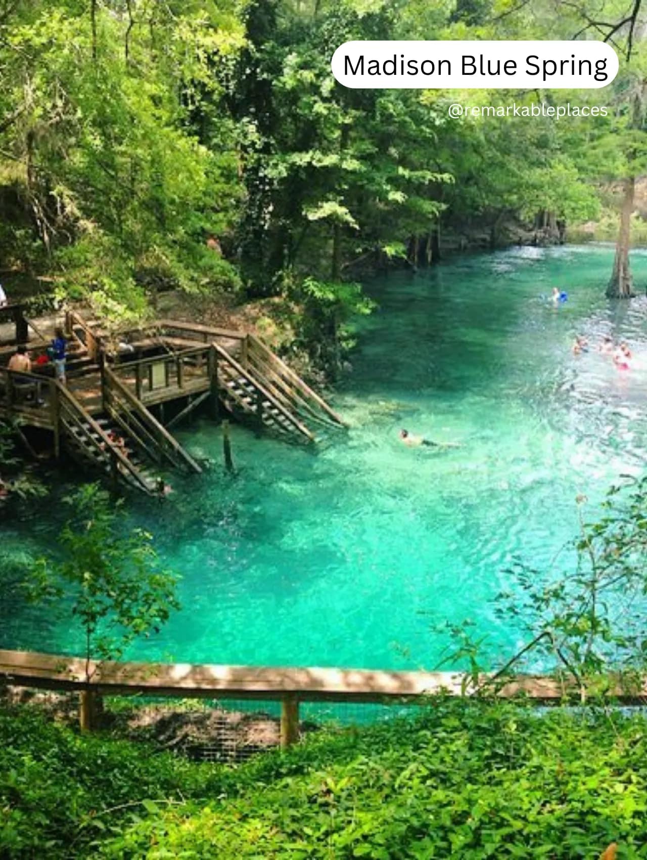 Swimmers enjoy the crystal-clear waters at Madison Blue Spring, one of the best springs in Florida known for its natural beauty and refreshing waters.